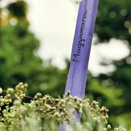 בית הארחה Agrirelais La Bolla 4*